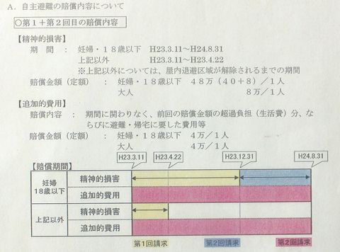 130206東電説明資料