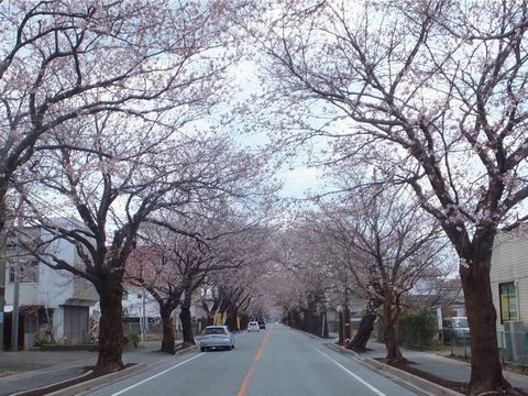 130412夜ノ森