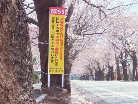 130412夜ノ森・観桜は車内