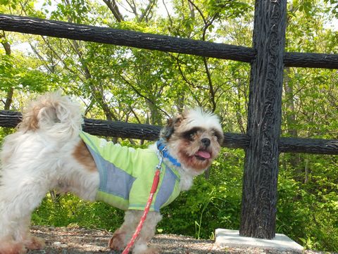 130505いわき公園散歩