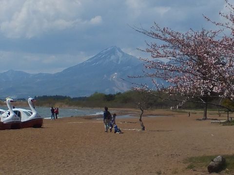 130504桜と磐梯山・猪苗代湖