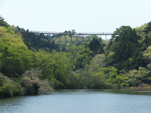 130505いわき公園わくわく橋