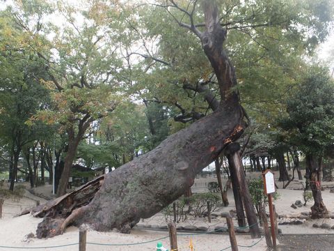 131025板倉神社4