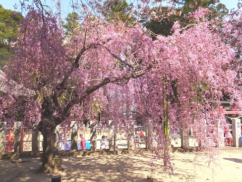 140412小川諏訪神社境内