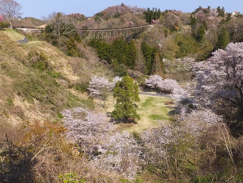 140414いわき公園・ワクワク橋