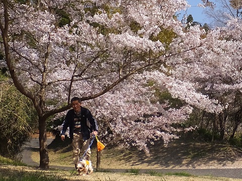 140414いわき公園1