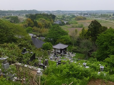 140514楢葉・宝鏡寺から