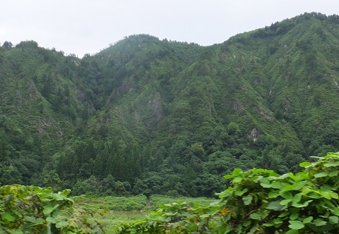 140826柳津の山