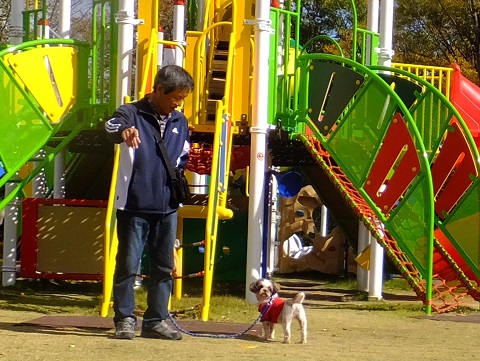 141028いわき公園5