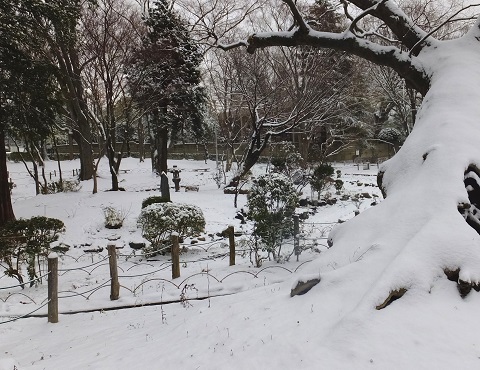 141216紅葉山雪