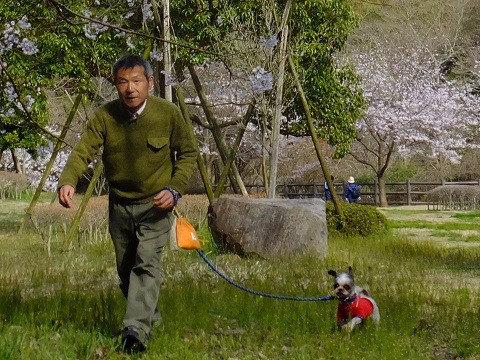 150409いわき公園散歩2