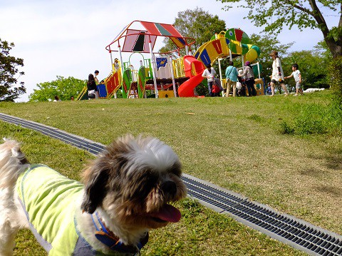 150506いわき公園広場