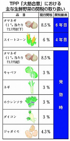 151017ハタ・ＴＰＰ生鮮関税