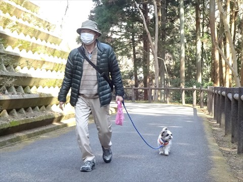 160306いわき公園・遊歩道_R