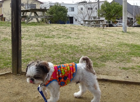 160313ペロ・四丁目公園_R